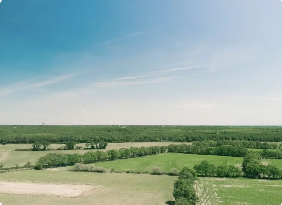 Clean photo after AI object removal