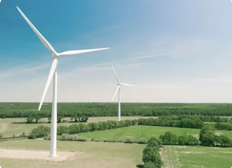 Photo with unwanted objects